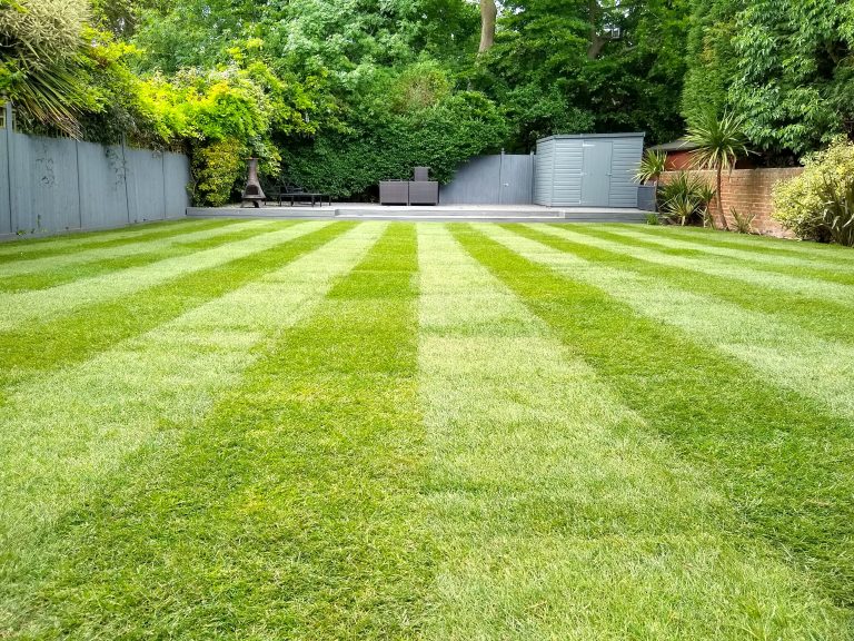 lawn_company_maidstone