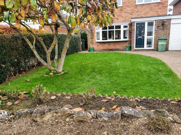 lawn-booster-lawn-repair-bearsted-me14