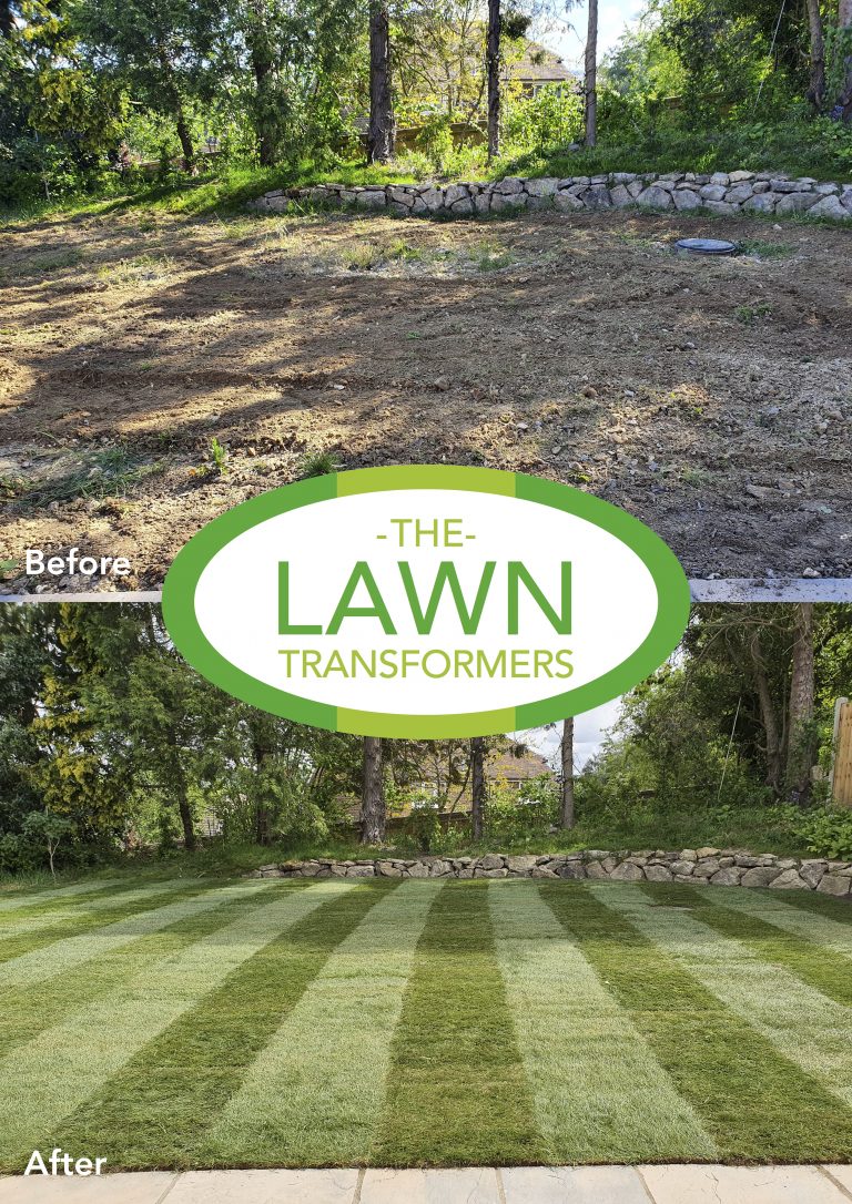 lawn-levelling-for-turf-kent