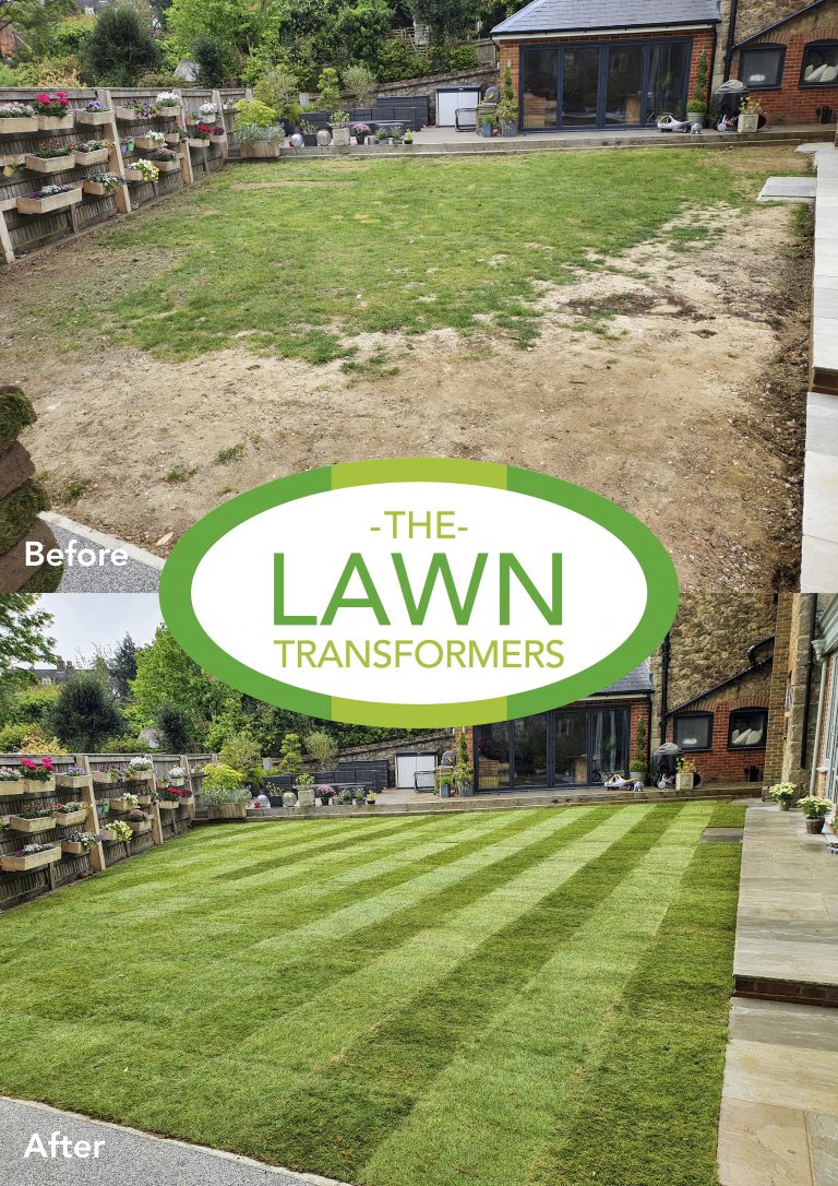lawn-levelling-lawn-turf-laying-company-returfing-lawns-sevenoaks-kent