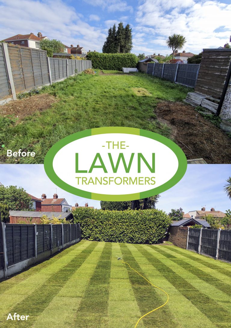 lawn-levelling-lawn-turf-laying-company-returfing-lawns-sidcup-kent-da14