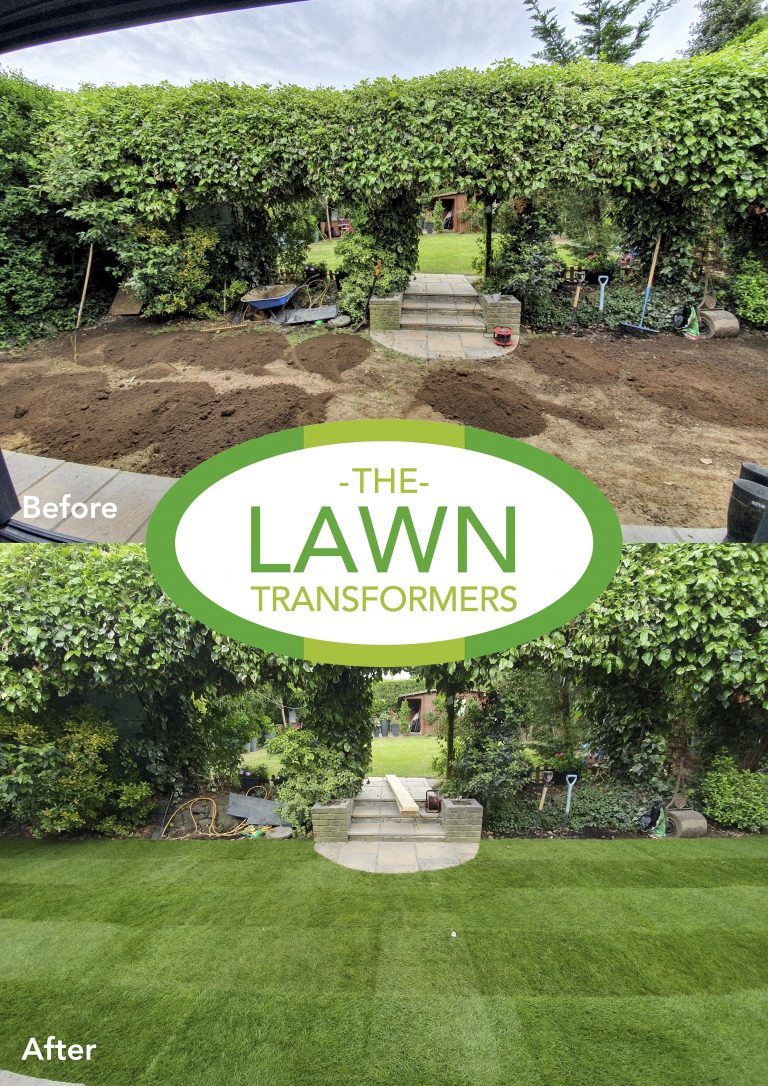 lawn-levelling-lawn-turf-laying-company-returfing-small-lawns-sidcup-kent-da15