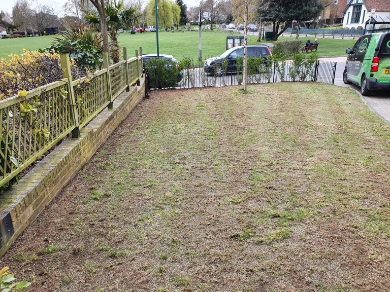 lawn-scarifying-service-bearsted