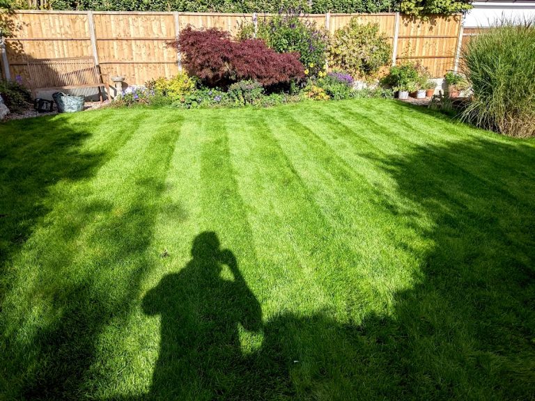 lawn-renovation-bearsted-maidstone-after