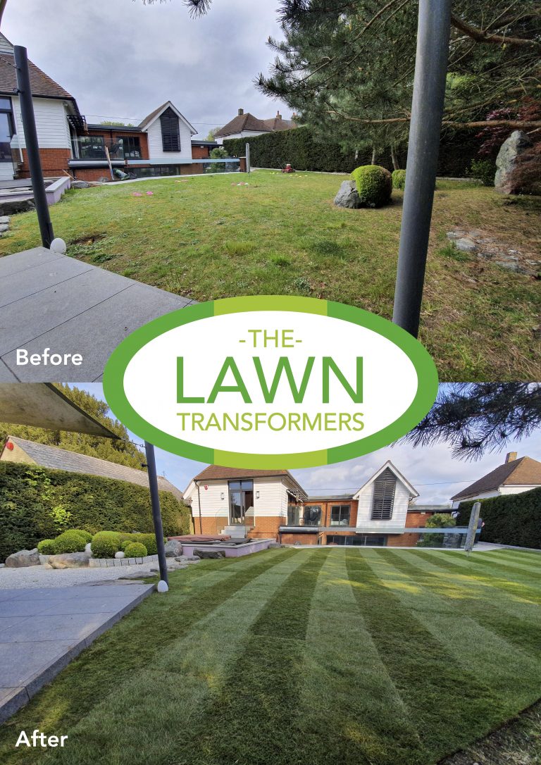 lawn-turf-laying-company-returfing-lawns-kent-sittingbourne-me9-me10