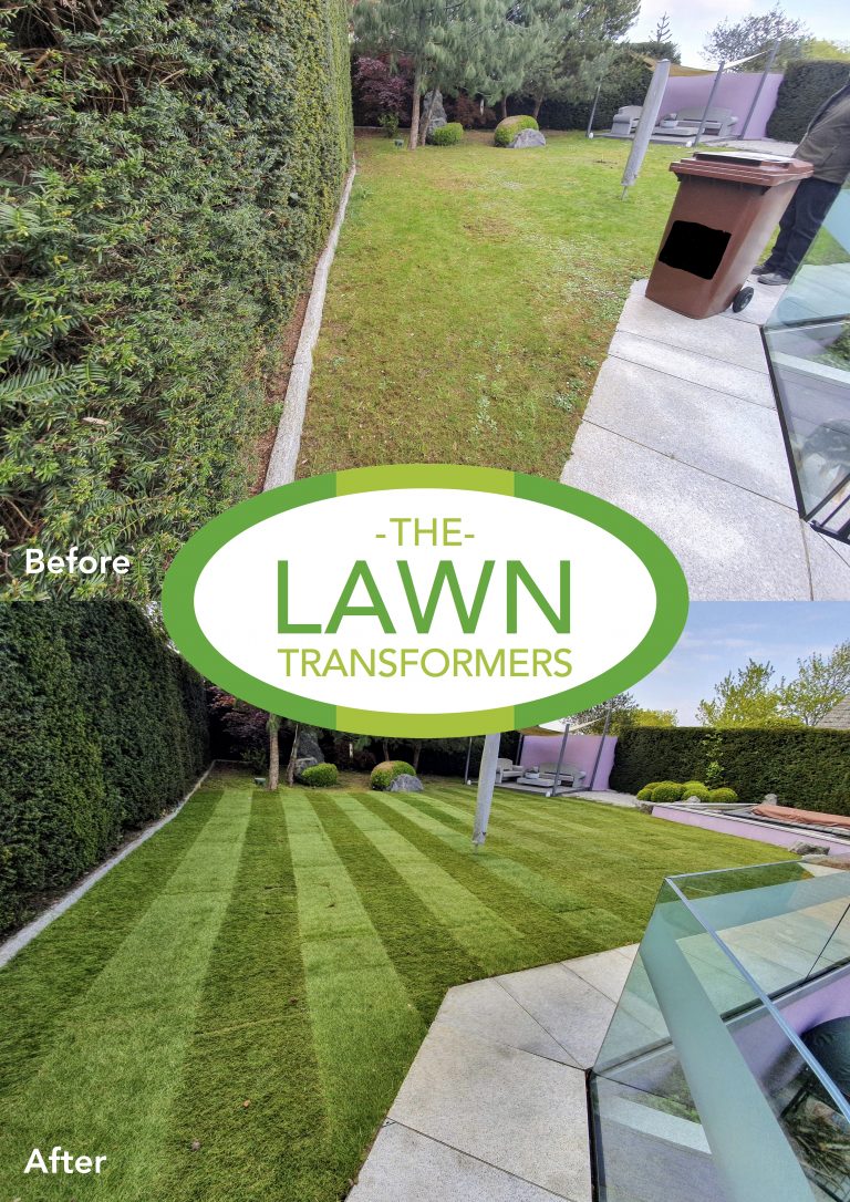 lawn-turf-laying-company-returfing-lawns-sittingbourne-kent-me9