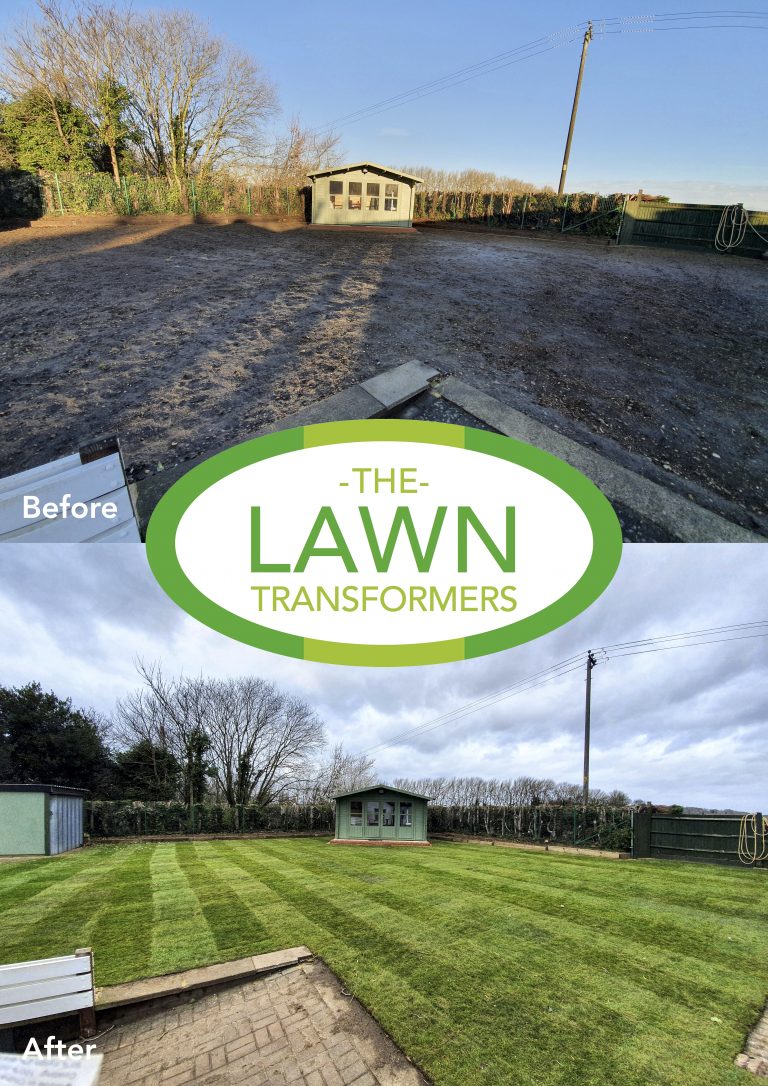 lawn-turf-laying-company-swanley-br8