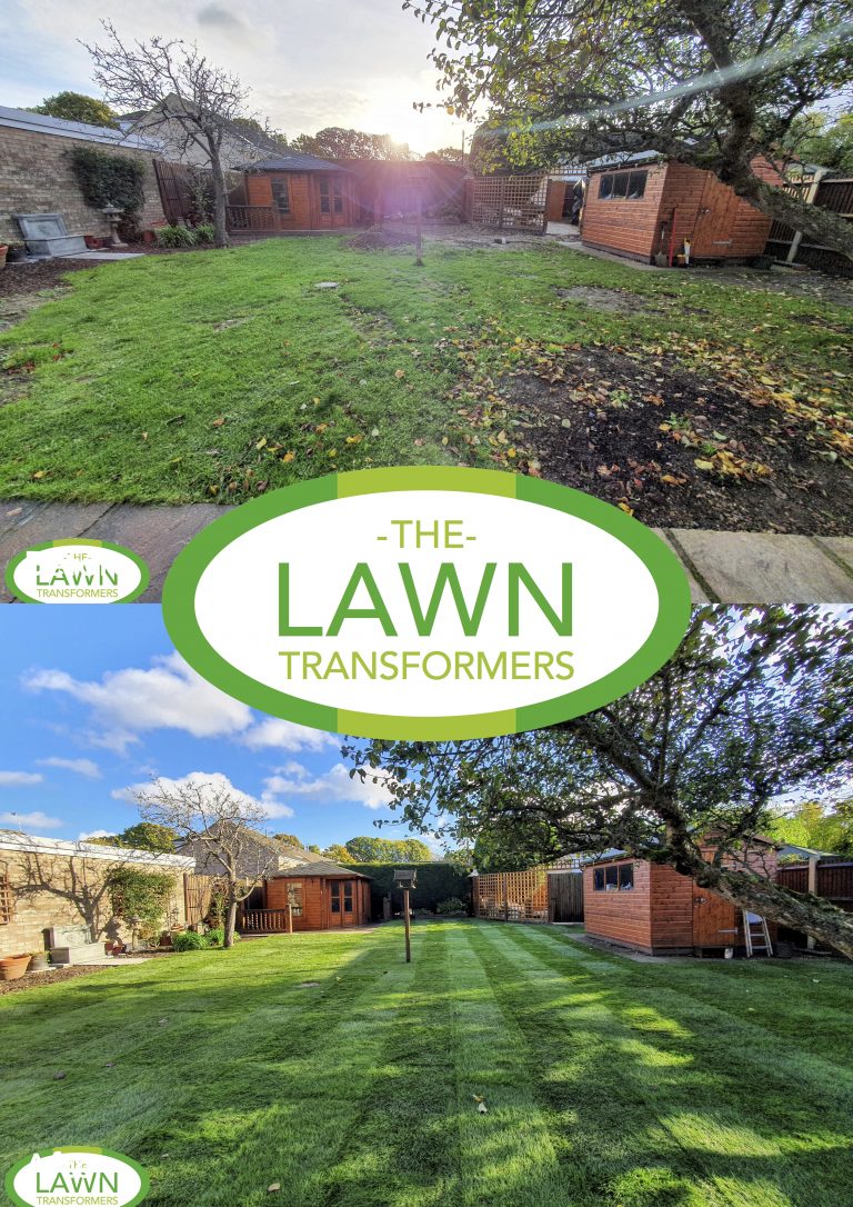 lawn-turf-laying-langley-maidstone-me14-me15