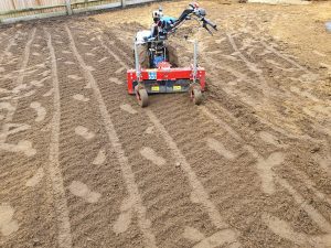 levelling area for wildflower turf