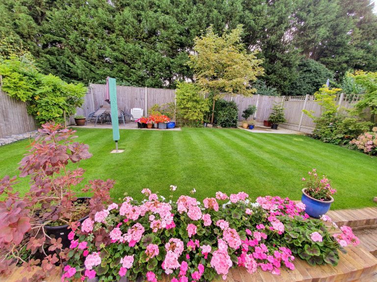 early-summer-lawn-feed-maidstone-kent