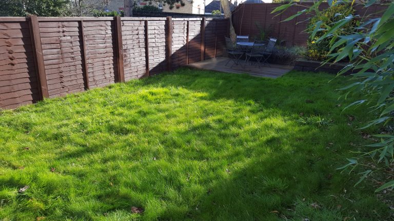 Lawn Replacement Turfing Company Bexley Kent DA5 Before