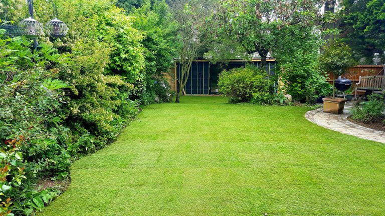 Lawn re-turfing Eltham Se9 turf laying company after