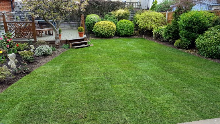 Lawn replacement Company turfing Bexley DA5 After