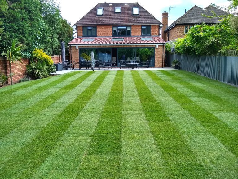 lawn_replacement_near_me_kent
