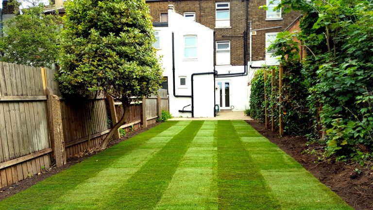New lawn installation Blackheath London SE3 after