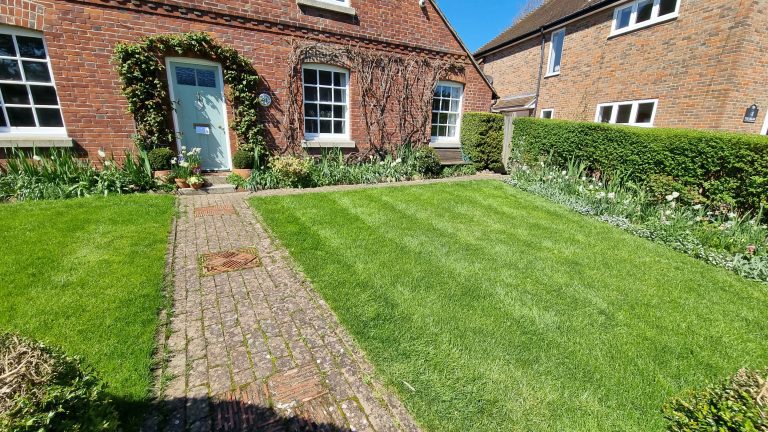 lawn-treatments-maidstone-kent