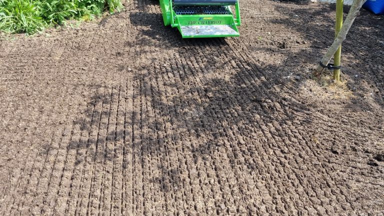 new_lawns_from_seed_lawn_seeding_maidstone_kent_me14_me15