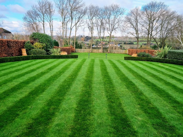 autumn_lawn_treatments_kent_lawn_care_service_near_me_me14_me15_maidstone