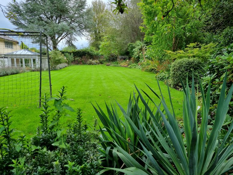 organic_seaweed_lawn_treatments_kent_maidstone_malling_areas