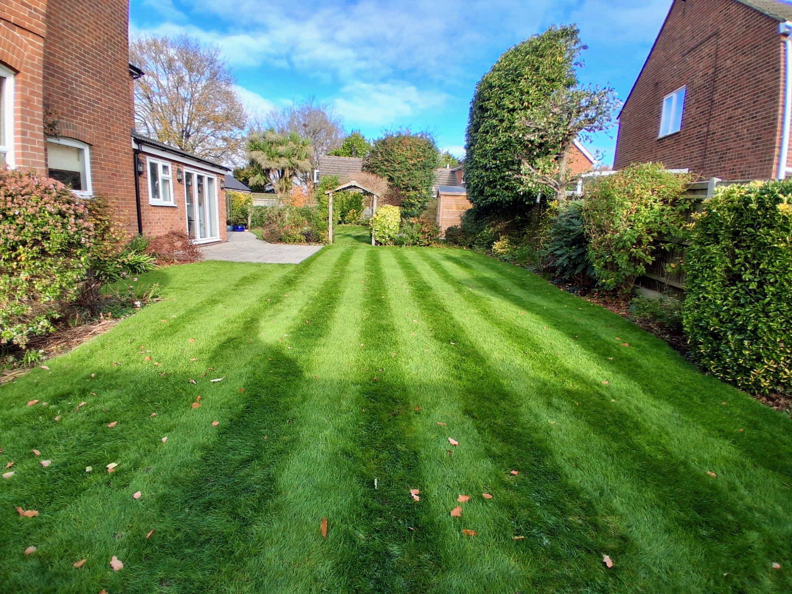 best_lawn_care_company_near_me_maidstone_kent_me14_me15_lawn_treatments