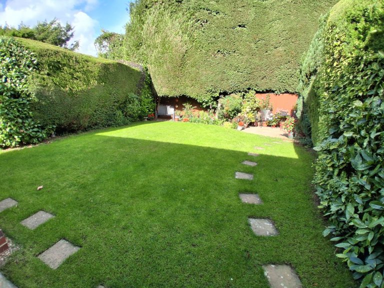 lawn_renovation_maidstone_kent_after_me17