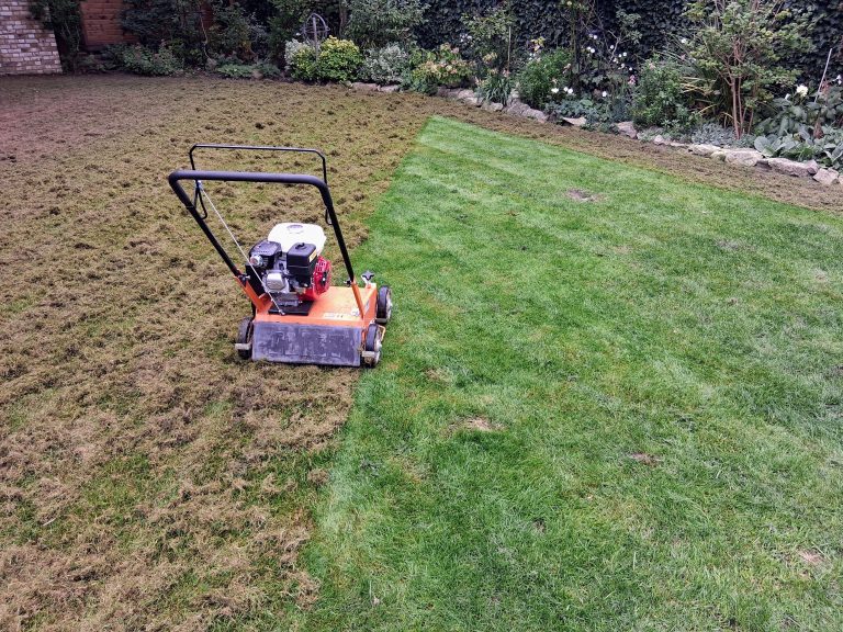 lawn_renovation_rochester_scarification_me1