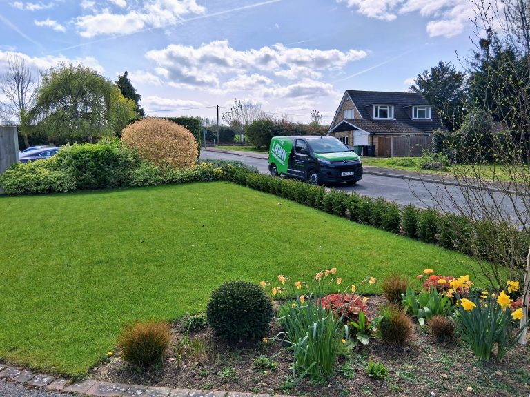 spring_lawn_weed_treatments_maidstone_kent_me15