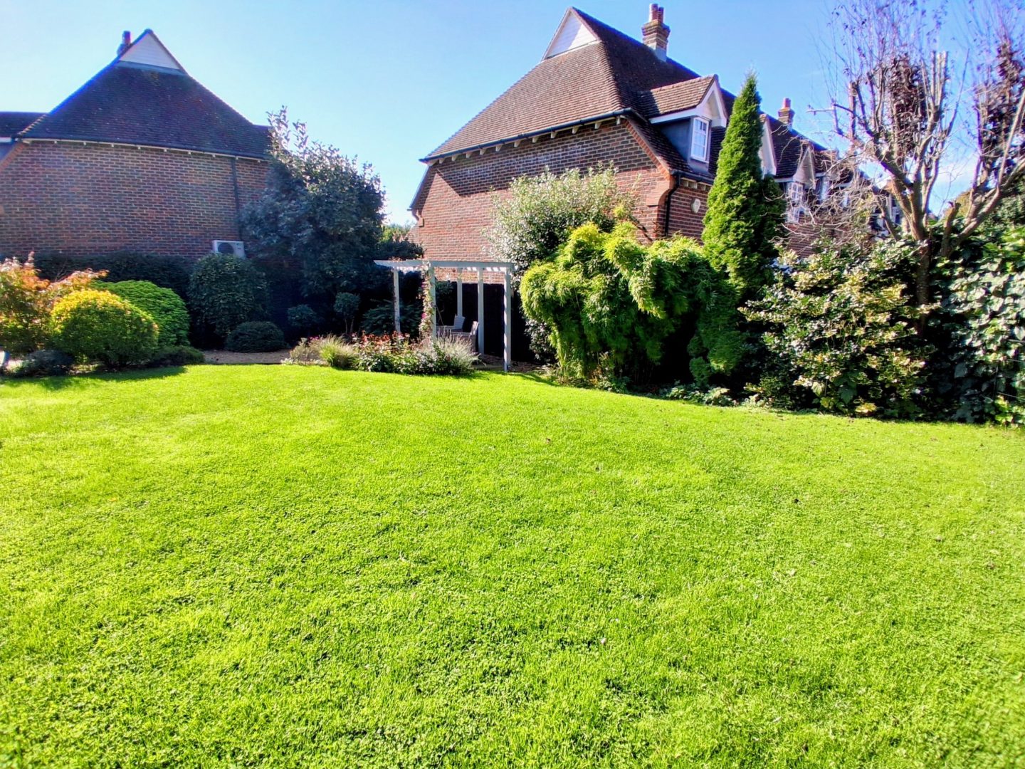 Clover-lawn-installers-near-me-maidstone-kent-me14-me15-me16 Clover-lawn-installers-near-me-maidstone-kent-me14-me15-me16