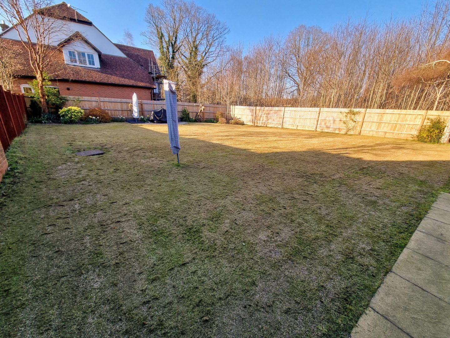 Full_lawn_renovation_kings_hill_west_malling_me19_aeration_scarification_seeding