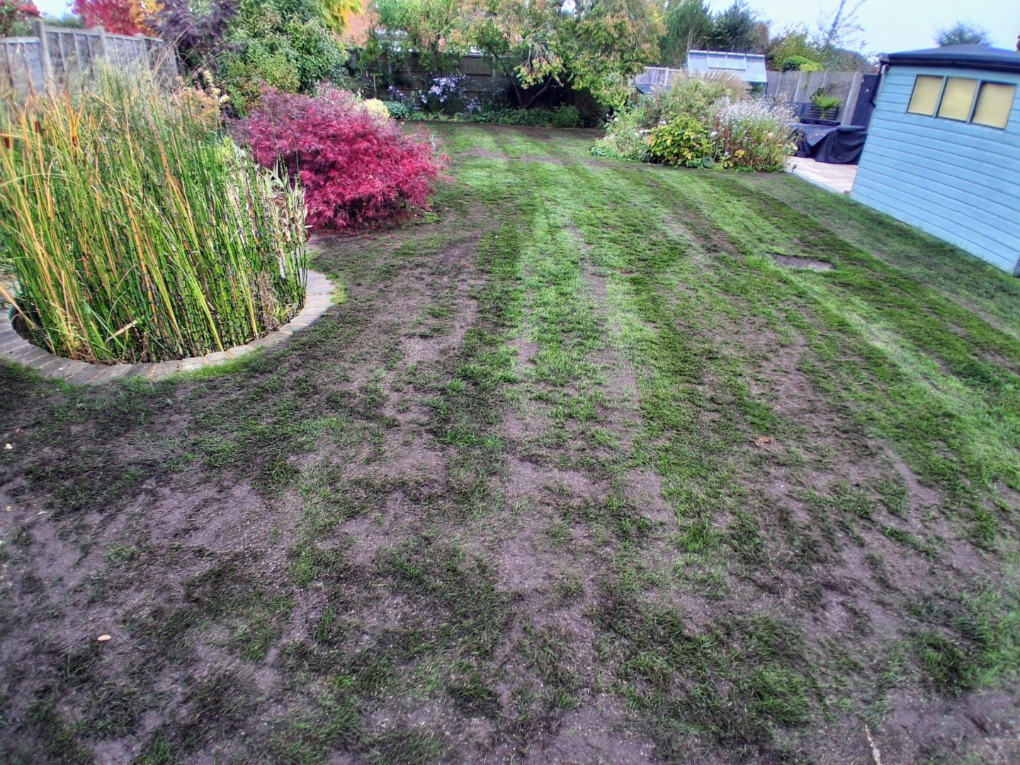 autumn_lawn_renovation_near_me_maidstone_seeding_me14_me15