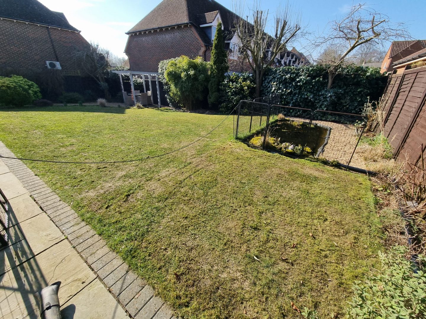 clover_lawns_for_dogs_kent_before