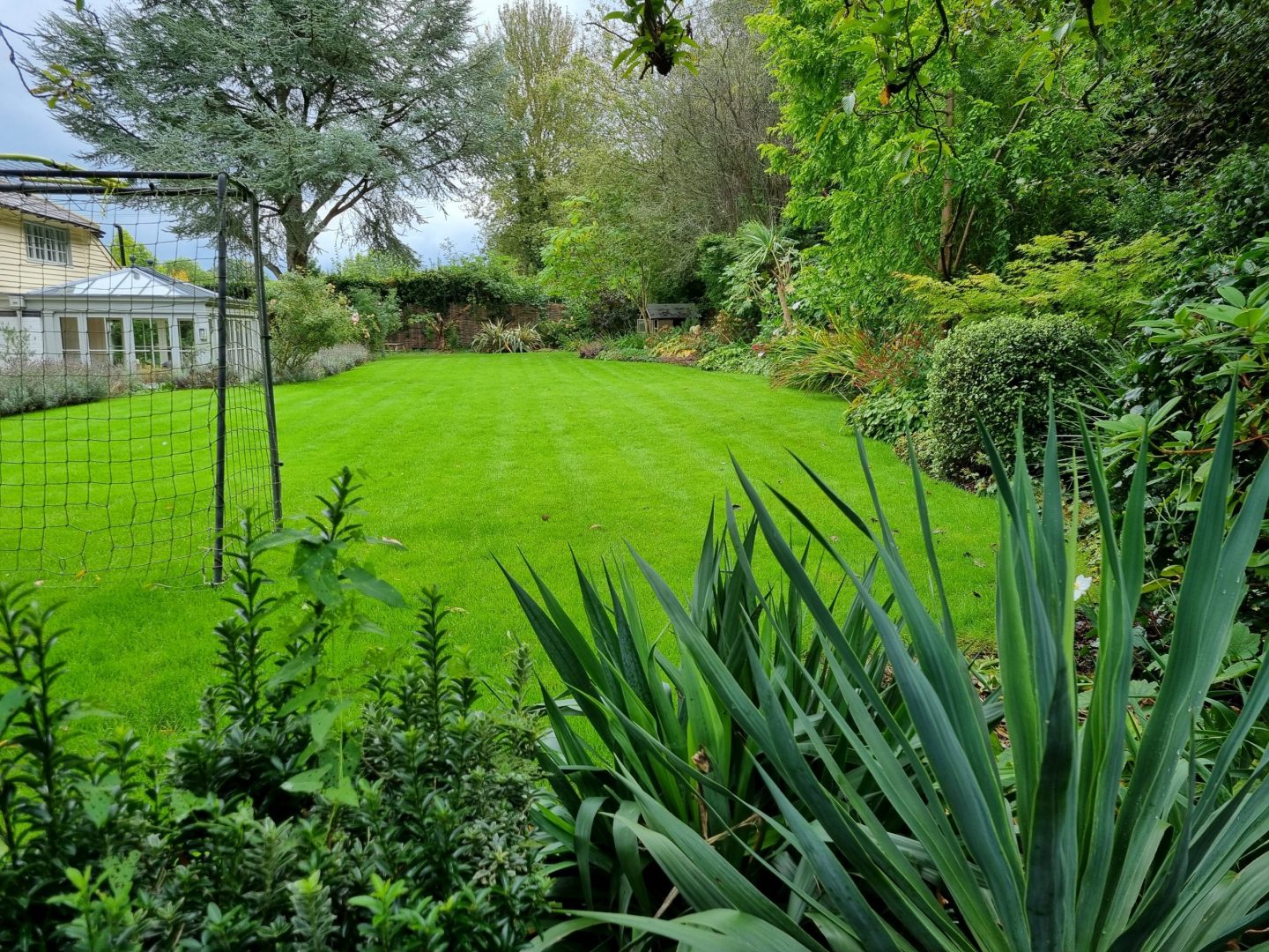 organic_seaweed_lawn_treatments_kent_maidstone_malling_areas