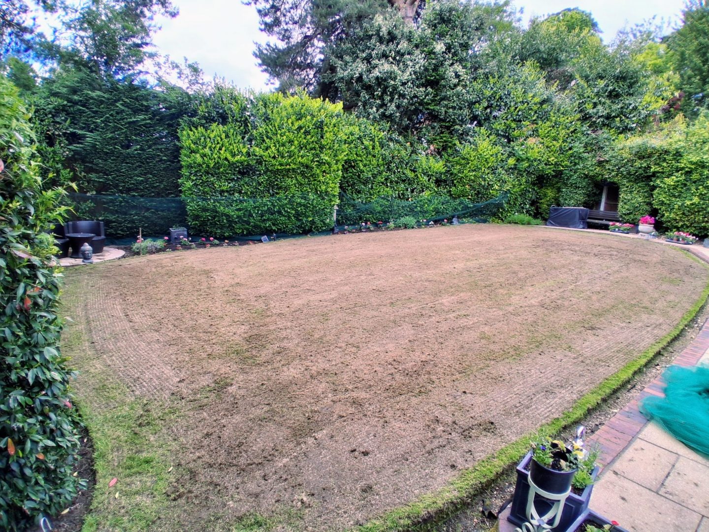 grub_damaged_lawn_renovation_near_me_maidstone_kent_scarification_mechanical_seeding
