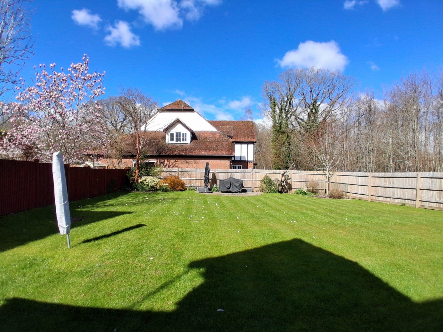 lawn_renovation_service_west_malling_kings_hill_me19_after