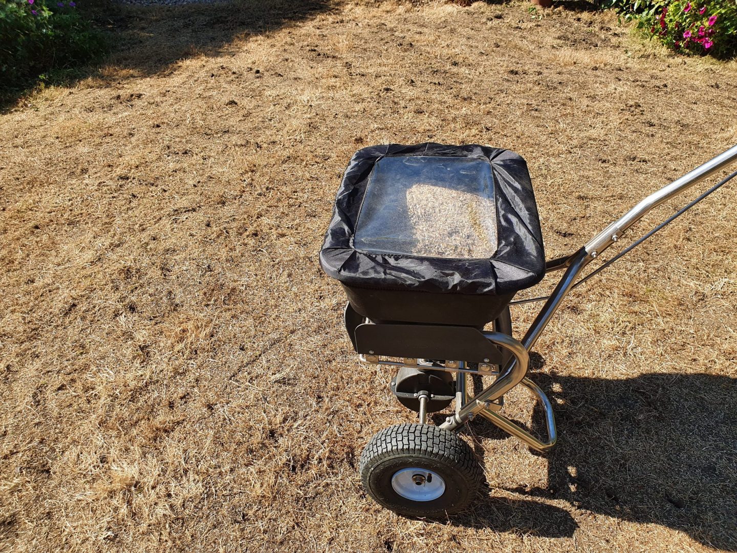 lawn-restarter-lawn-renovation-maidstone-kent-seeding