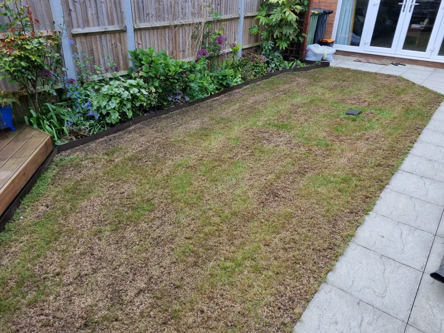 lawn_aeration_marden_kent_after