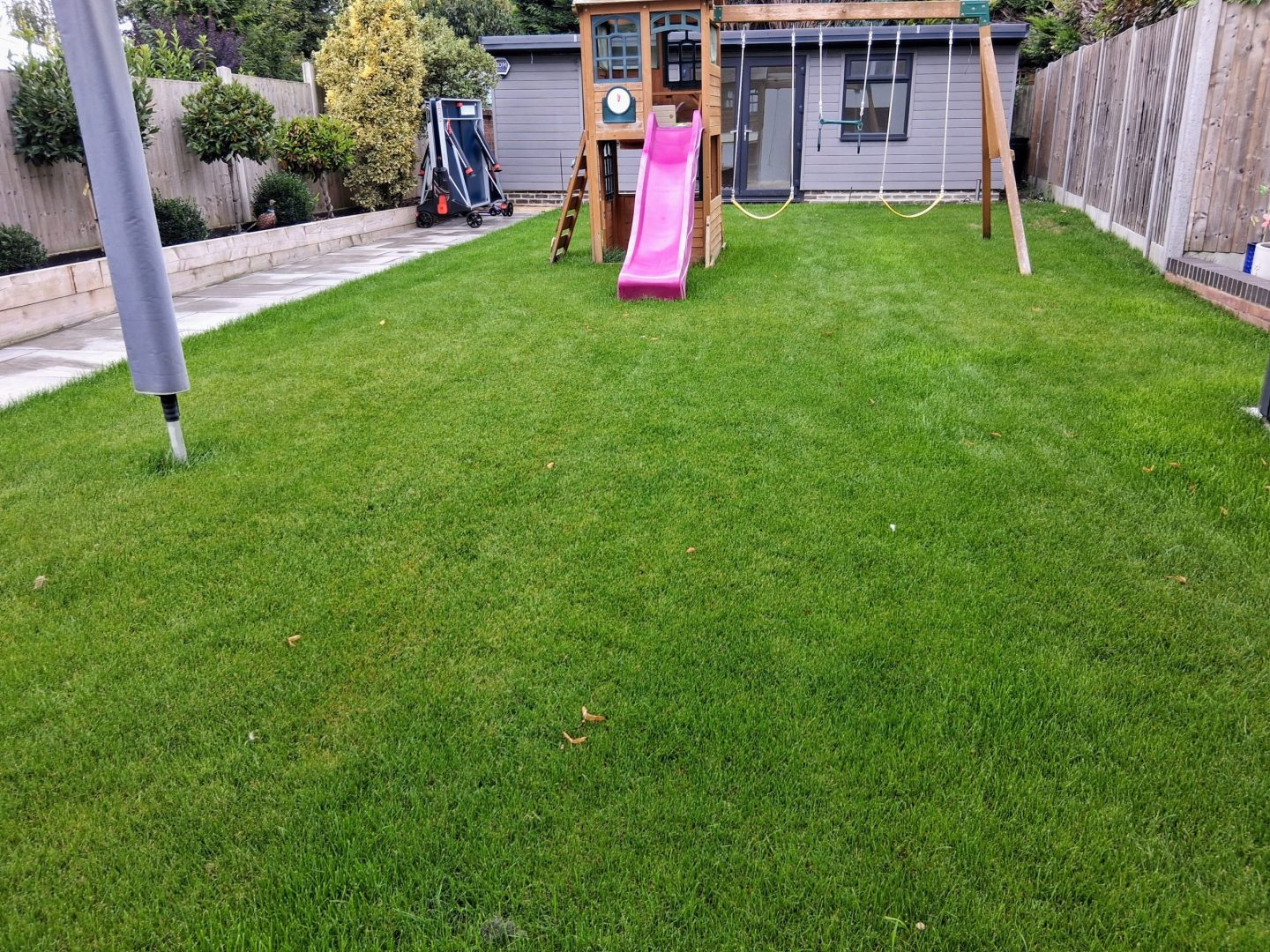 lawn_booster_renovation_wateringbury_after_established