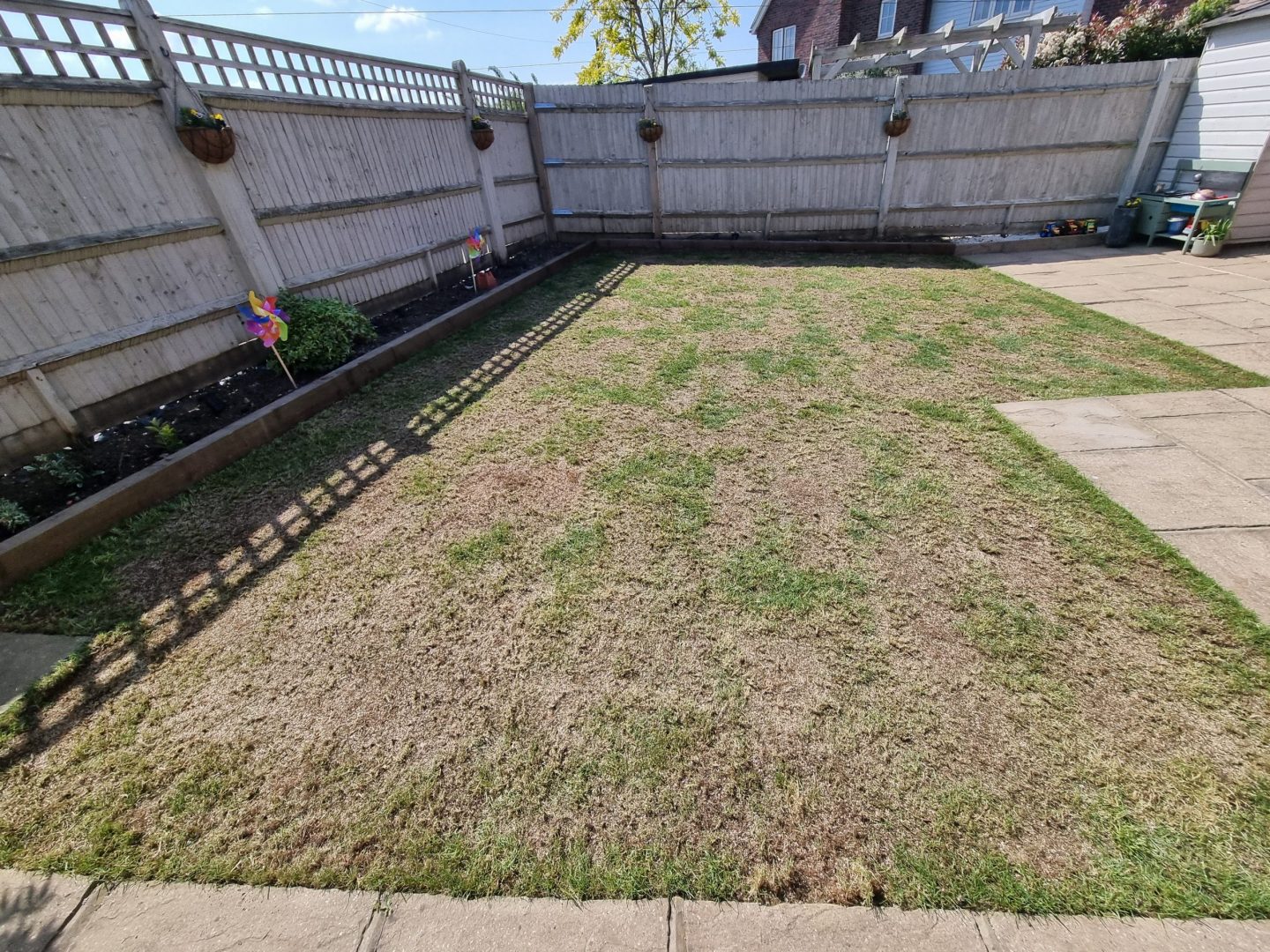 lawn_booster_renovation_aylesford_kent_me20