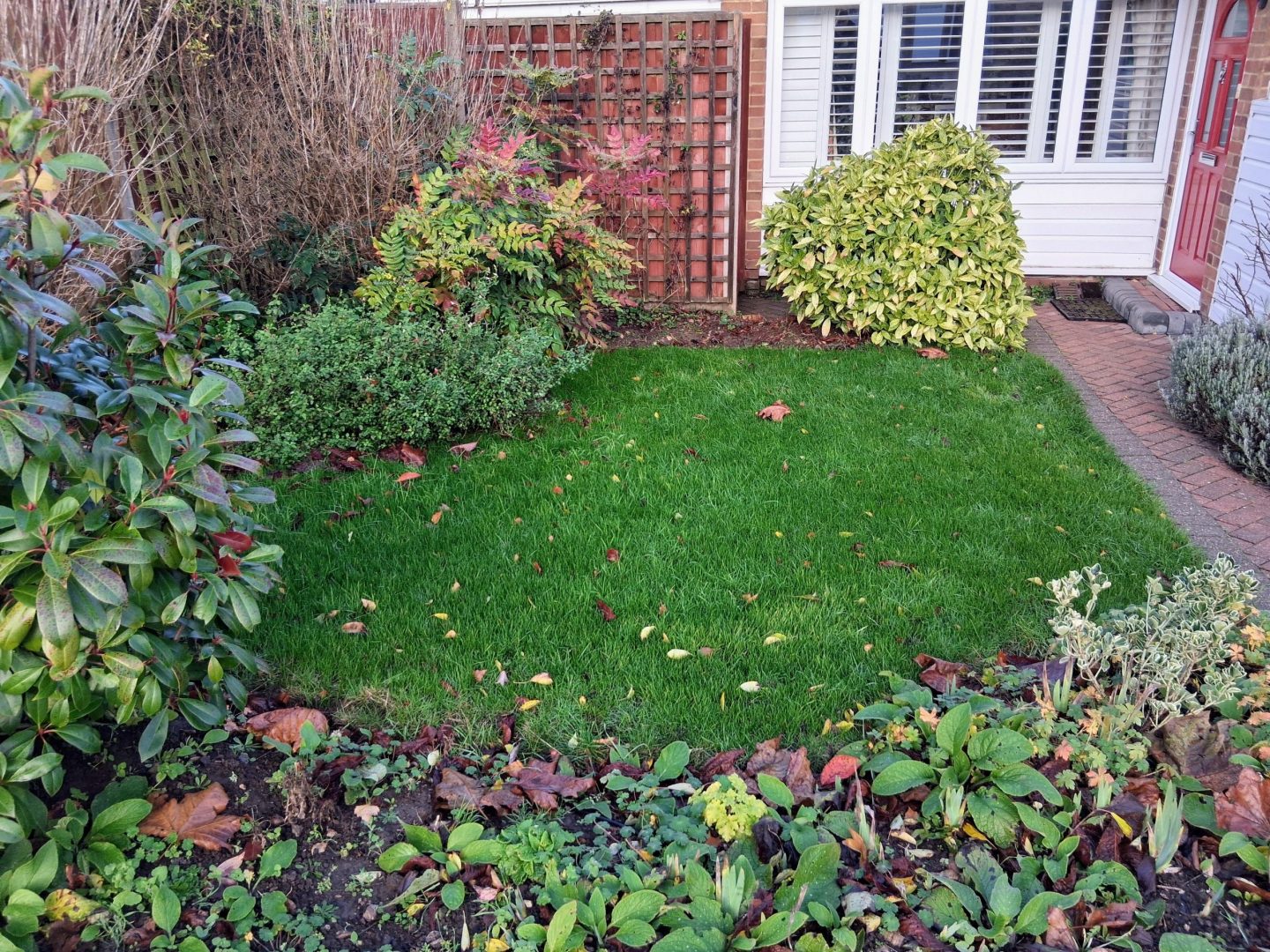 lawn_renovation_allington_me16_progress