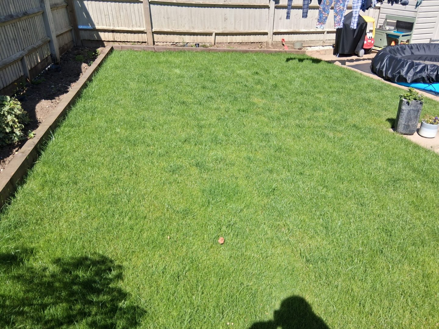 lawn_renovation_aylesford_progress