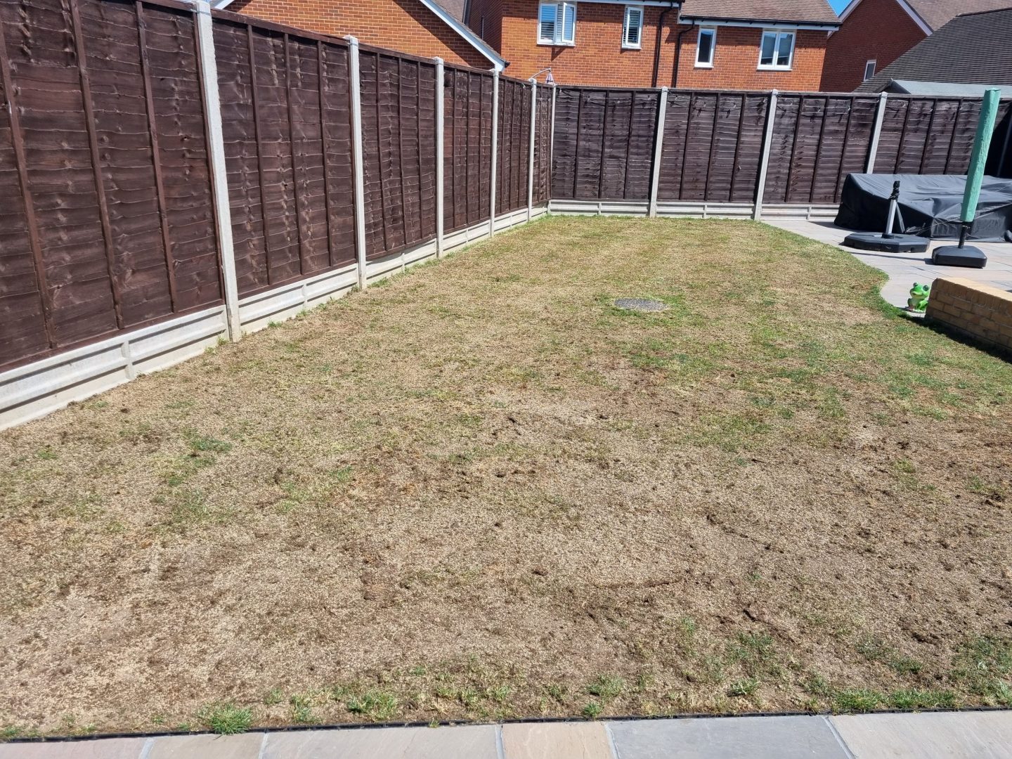 lawn_renovation_barming_maidstone_kent_me16