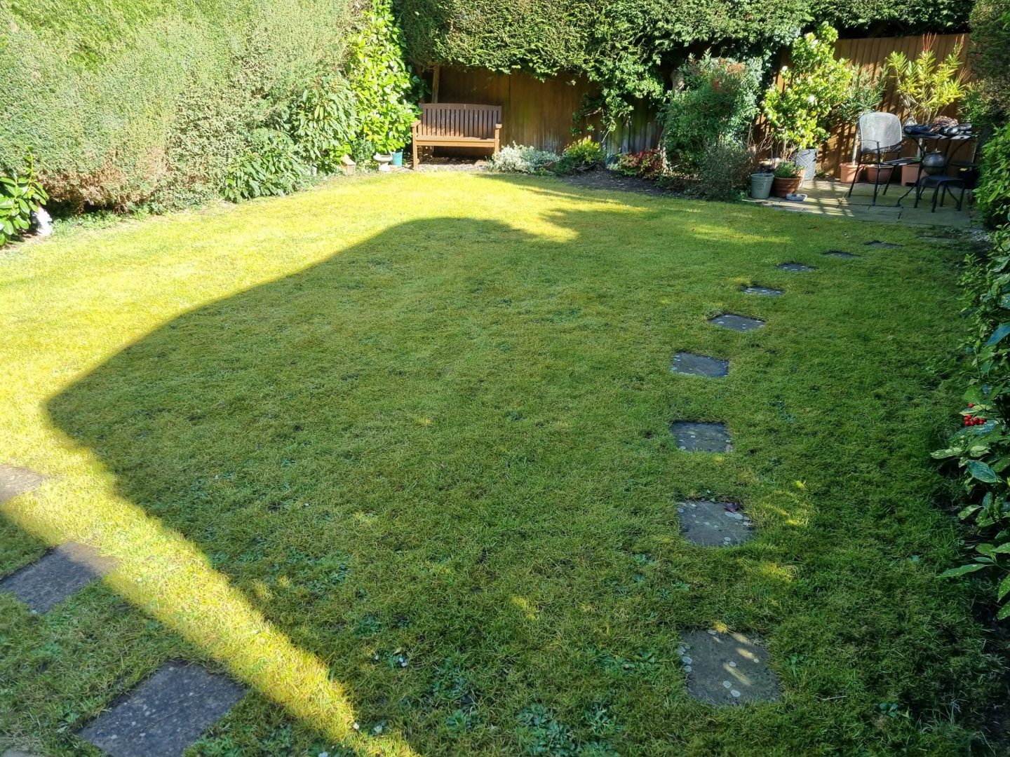 lawn_renovation_company_maidstone_before