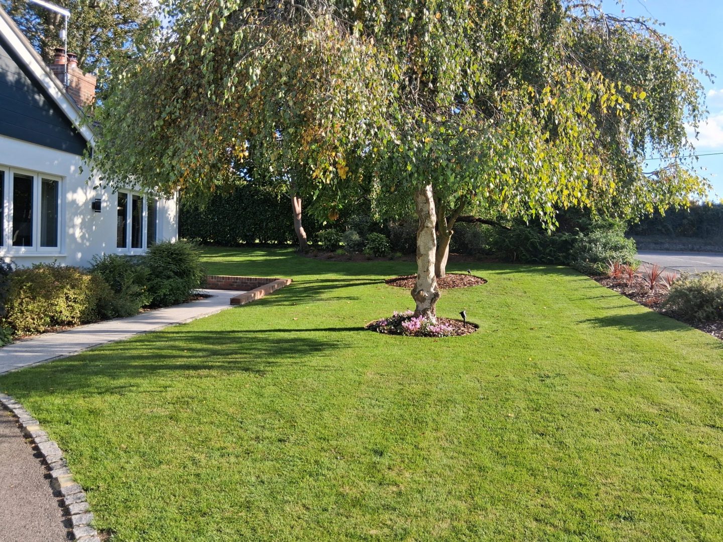 lawn_renovation_east_farleigh_maidstone_progress