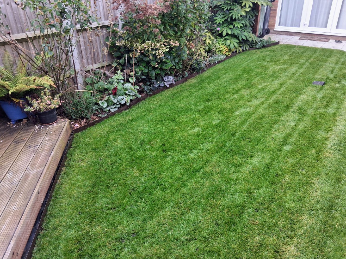 lawn_renovation_for_new_build_marden_after