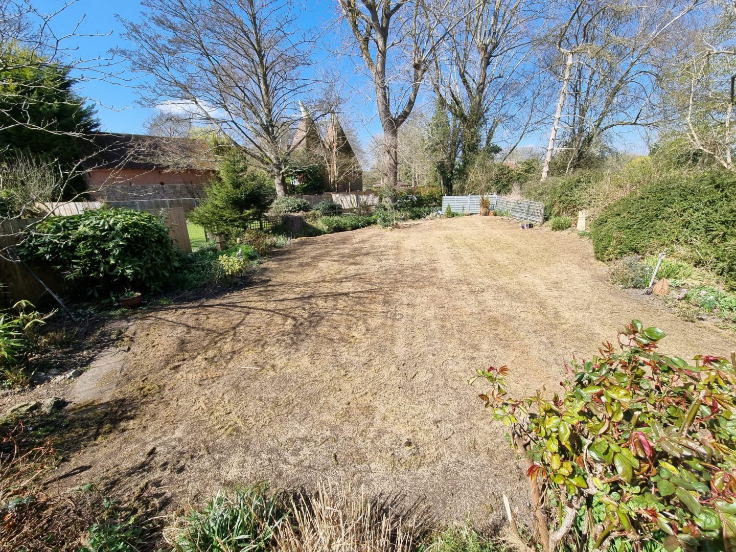 lawn_renovation_leeds_kent_after_seeding