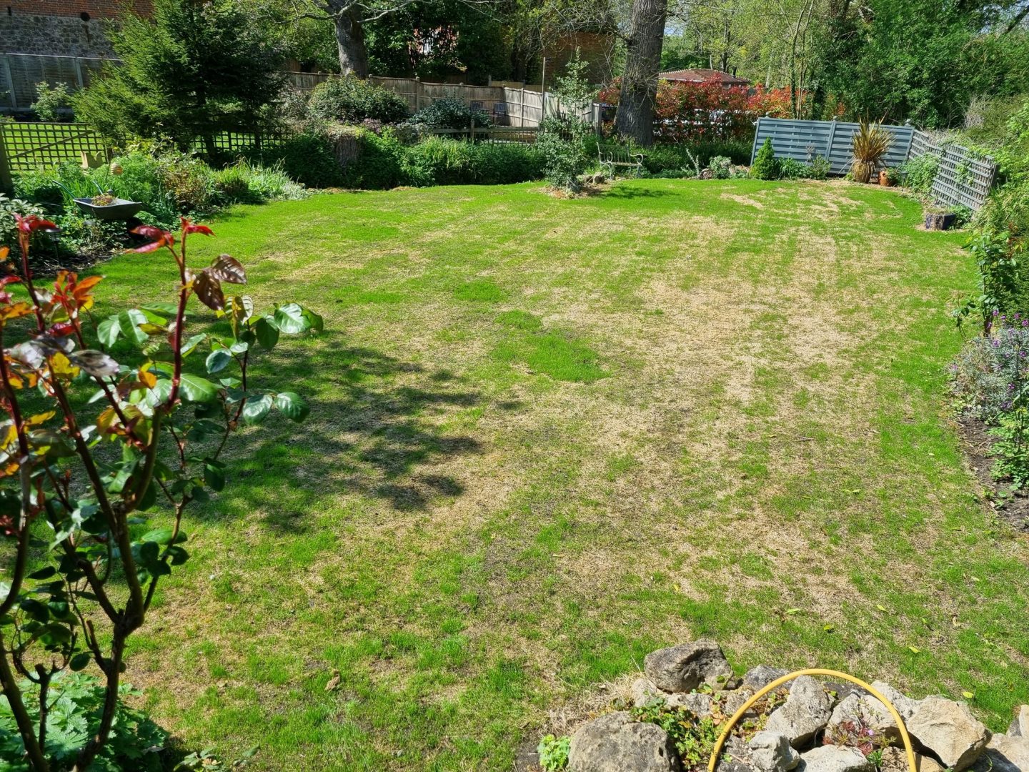 lawn_renovation_leeds_kent_progress