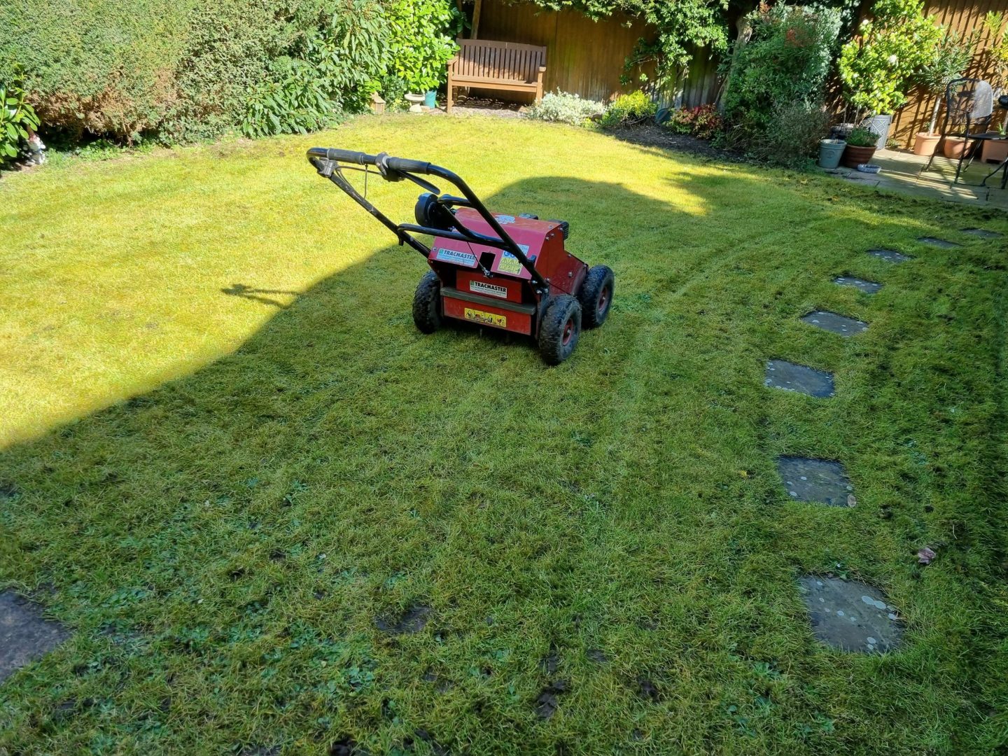 lawn_renovation_maidstone_during1