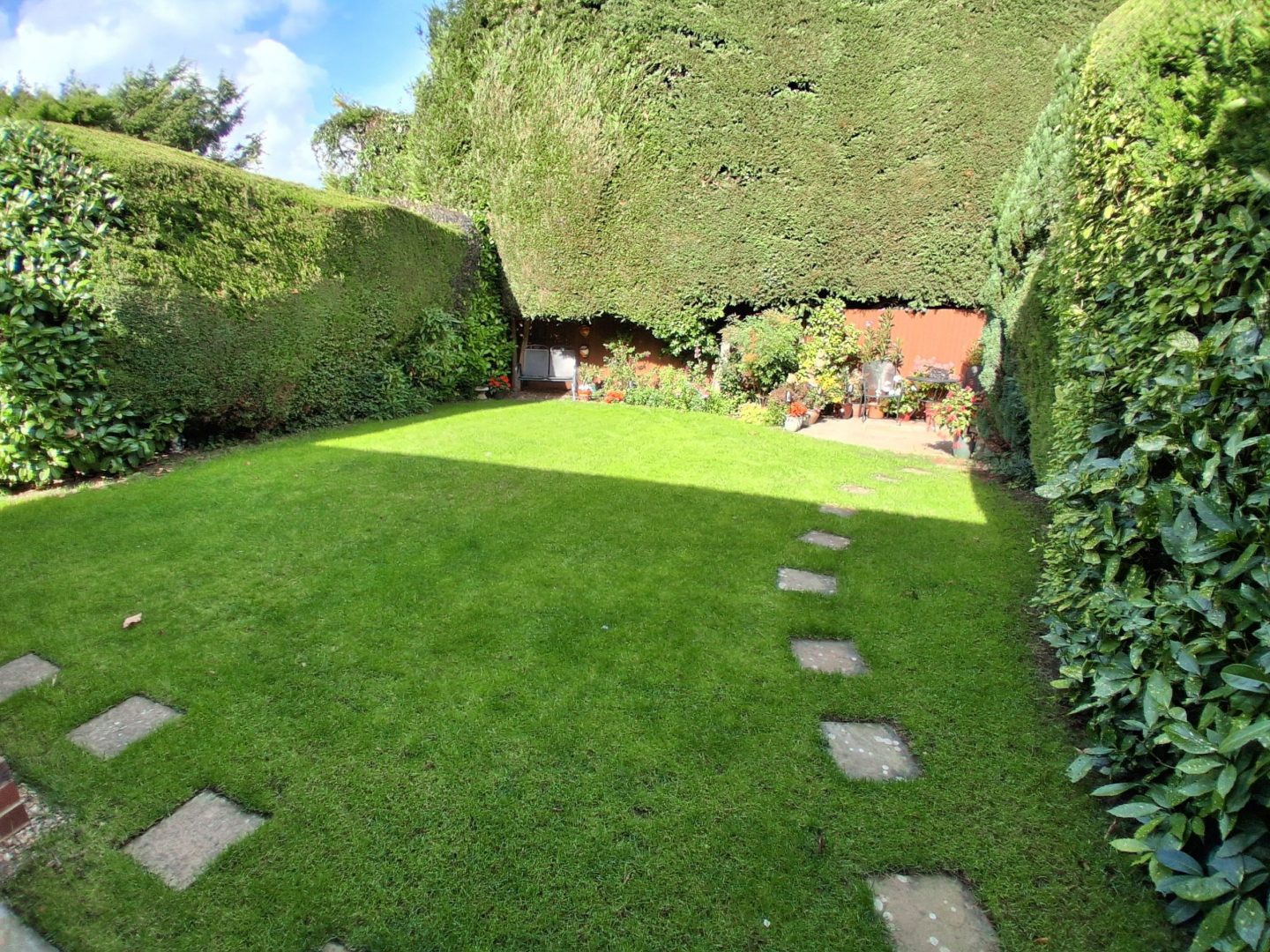 lawn_renovation_maidstone_kent_after_me17