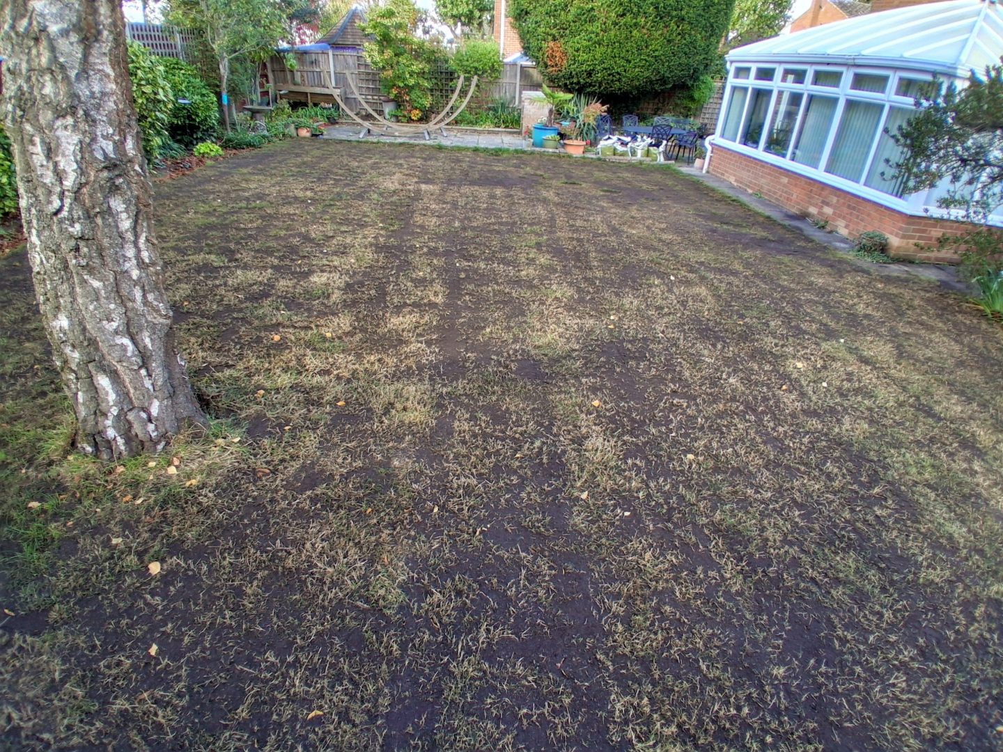 lawn_renovation_near_me_allington_kent_me16_seeeding_top-dressing