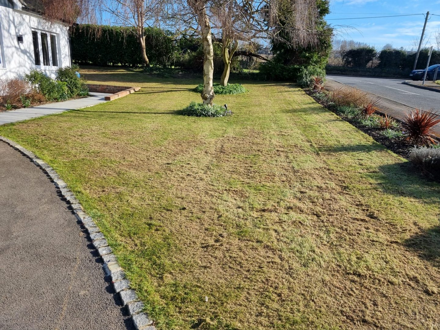 lawn_renovation_near_me_maidstone_after